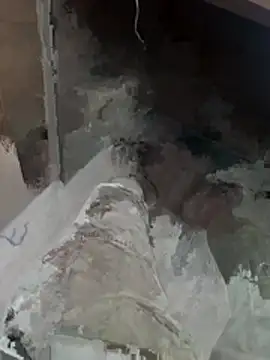 justwatchbaby online show from April 22, 2026, 3:46 am