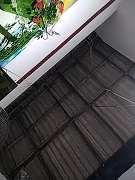 Nishii Girl online show from January 11, 2026, 12:12 pm