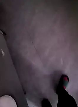 Snapshot of Xpj123 chatting on January 18, 2025, 4:04 am Xpj123 online show from January 18, 2025, 4:04 am