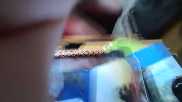 Javier bear online show from January 15, 2026, 9:40 pm