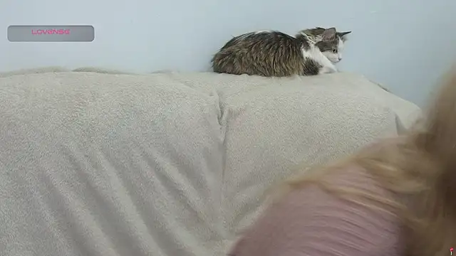 gertanord online show from February 21, 2026, 7:05 pm