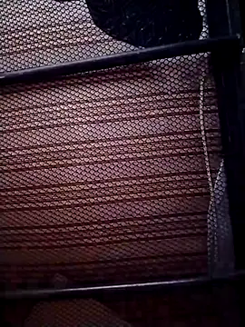 Luiz 097 online show from January 11, 2026, 7:26 am