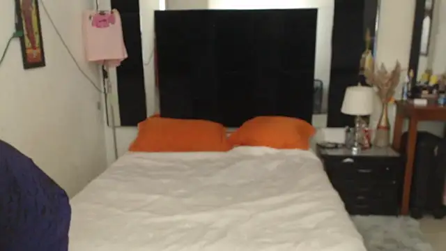 Snapshot of CATRINA-83 chatting on November 6, 2025, 5:28 pm CATRINA-83 online show from November 6, 2025, 5:28 pm