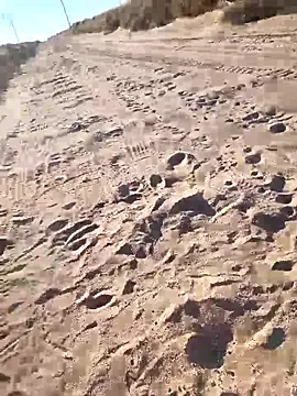 Snapshot of prettyboi6992 chatting on March 1, 2026, 11:49 pm prettyboi6992 online show from March 1, 2026, 11:49 pm