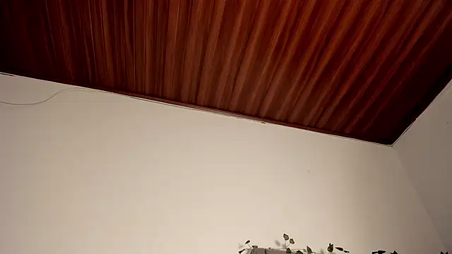 Honeyco 5 online show from January 10, 2025, 11:00 am