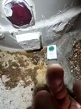 Snapshot of cdressupdiva chatting on January 20, 2025, 3:50 pm cdressupdiva online show from January 20, 2025, 3:50 pm