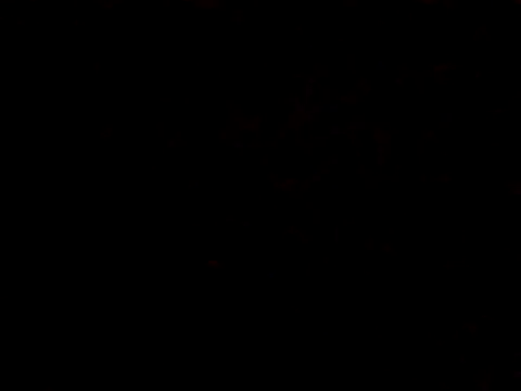 BIGPINKBYRD online show from October 29, 2025, 1:04 am