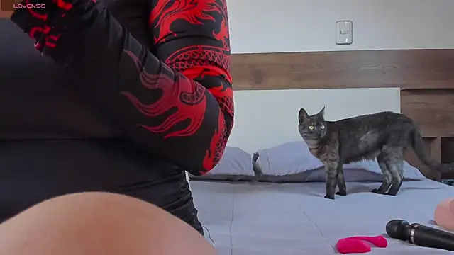 Snapshot of _fullmoon chatting on October 3, 2025, 5:47 pm fullmoon online show from October 3, 2025, 5:47 pm