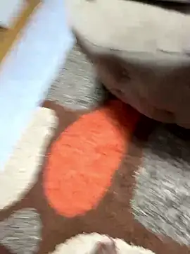 sknzy09 online show from January 8, 2026, 1:06 pm