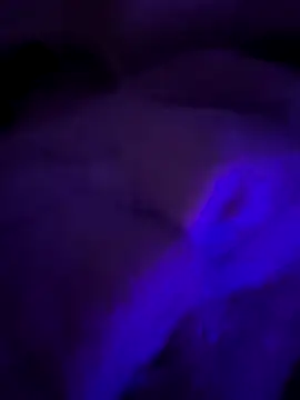 Porkocazzone online show from January 11, 2026, 7:48 am