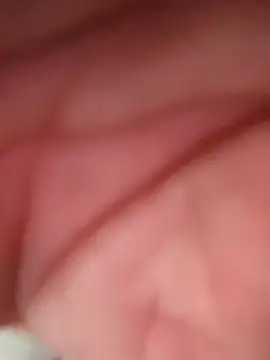 WilldoPita online show from February 10, 2026, 4:17 pm