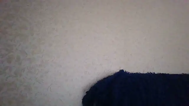 Snapshot of CarlyTreat chatting on July 7, 2026, 10:52 am CarlyTreat online show from July 7, 2026, 10:52 am