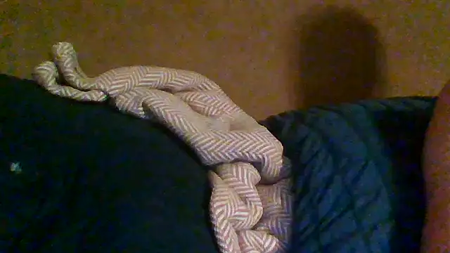 trash4cash online show from October 31, 2025, 2:19 am