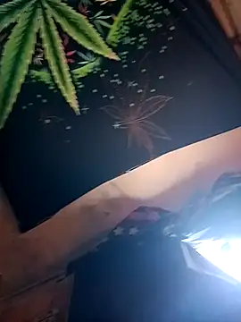 ySqmbVanbe online show from February 9, 2026, 4:49 pm