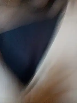 ySqmbVanbe online show from November 11, 2025, 7:08 pm