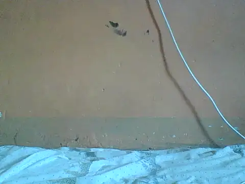 Naivegirrl online show from February 1, 2026, 10:13 am