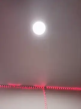 Danypapi online show from April 2, 2026, 7:09 pm