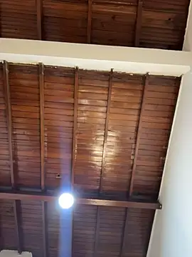 emiss  online show from February 8, 2026, 4:05 pm