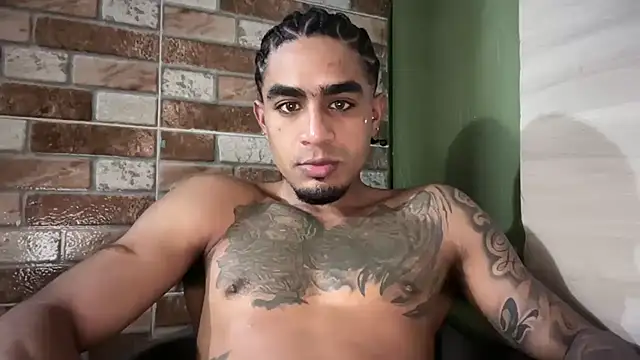 Snapshot of dominic_brandd23 chatting on July 1, 2026, 11:49 pm dominic brandd23 online show from July 1, 2026, 11:49 pm