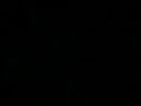 naygotfans online show from January 11, 2025, 7:39 am