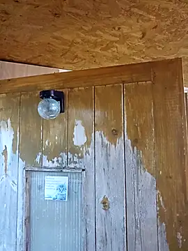 daiwantu online show from December 18, 2025, 3:49 pm