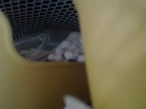 lovense test04 online show from April 27, 2026, 6:33 am