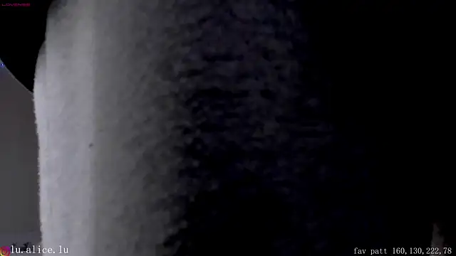 alicelu  online show from February 8, 2025, 11:55 am