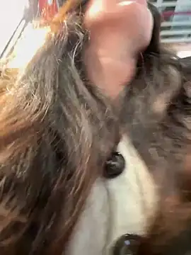 eveangelll online show from December 5, 2025, 9:52 am