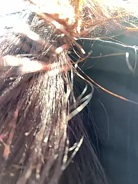 eveangelll online show from March 20, 2025, 11:38 am