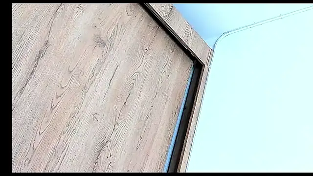 Stiven collins online show from December 13, 2025, 8:04 pm