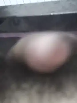 parozamzam online show from March 14, 2026, 8:20 am