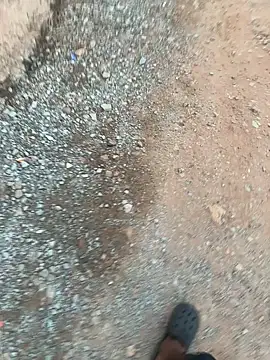 Black-mamba-madingo online show from November 9, 2025, 5:39 pm