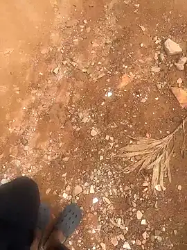 Black-mamba-madingo online show from September 23, 2025, 8:43 am