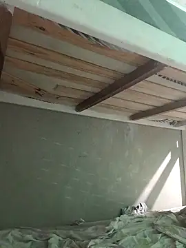 Snapshot of puak6666 chatting on November 14, 2025, 5:00 am puak6666 online show from November 14, 2025, 5:00 am