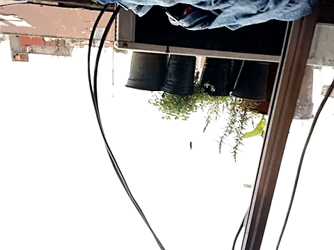 Snapshot of puak6666 chatting on September 29, 2025, 8:03 pm puak6666 online show from September 29, 2025, 8:03 pm