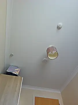 meateater1 online show from November 1, 2025, 10:42 am