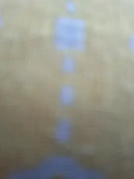 Priya Bong online show from August 6, 2026, 2:39 am