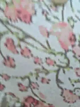 Priya Bong online show from July 18, 2026, 2:31 am