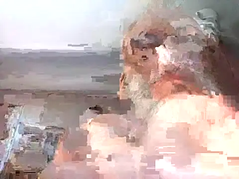 Xoc8  online show from February 26, 2026, 10:37 am