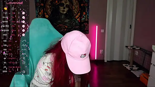 Project hisoka online show from March 2, 2025, 11:41 am