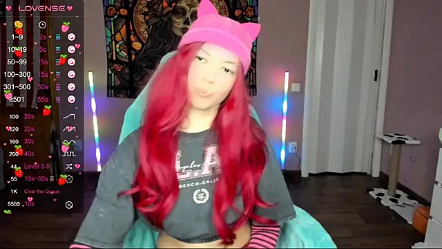 Project hisoka online show from February 26, 2025, 12:16 pm