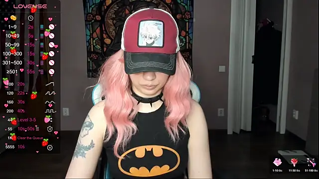 Project hisoka online show from March 23, 2026, 5:24 pm