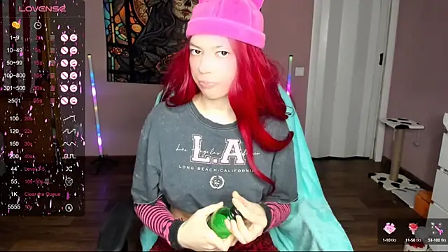 Project hisoka online show from February 26, 2025, 4:05 pm