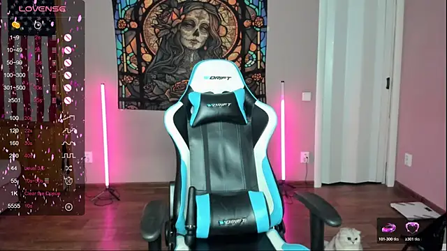 Project hisoka online show from November 22, 2025, 3:38 am