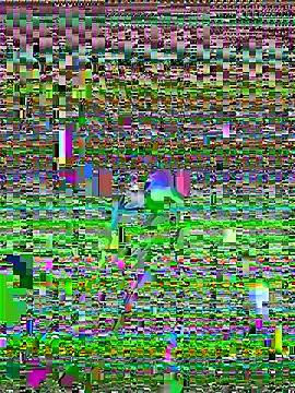 Snapshot of cadenfoxx111 chatting on May 13, 2026, 5:20 pm cadenfoxx111 online show from May 13, 2026, 5:20 pm