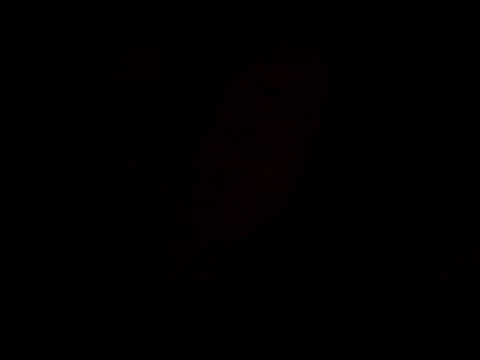 Snapshot of pnp0Japan chatting on February 18, 2025, 4:47 pm pnp0Japan online show from February 18, 2025, 4:47 pm