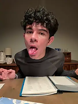 Stickmen online show from December 31, 2024, 3:45 am