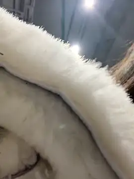 MooonReal online show from January 30, 2025, 6:35 am