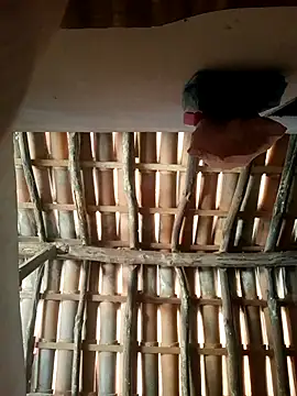 luissilva0071 online show from February 24, 2026, 12:28 pm