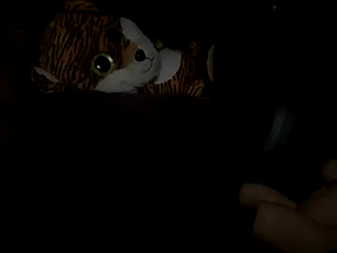 Snapshot of SlimeCrownzOut5 chatting on November 17, 2025, 4:16 am SlimeCrownzOut5 online show from November 17, 2025, 4:16 am